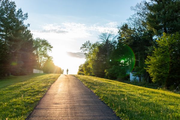 Cost of Asphalt Pathway Installation in Ringgold
