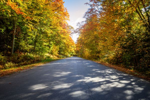 Cost of Blacktop Replacement in Ringgold